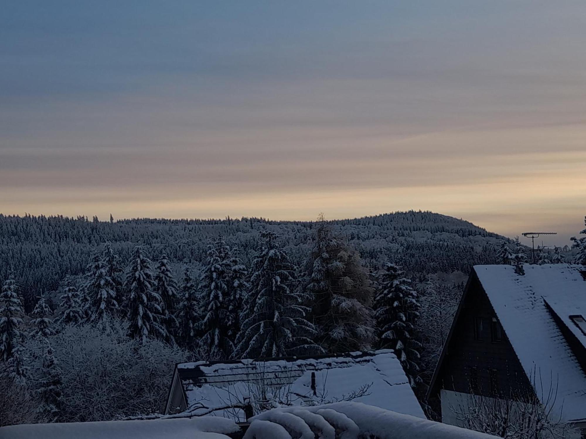 Fewo Naturgetreu Medebach Kültér fotó